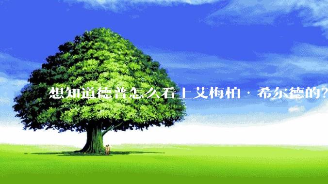 想知道德普怎么看上艾梅柏·希尔德的？