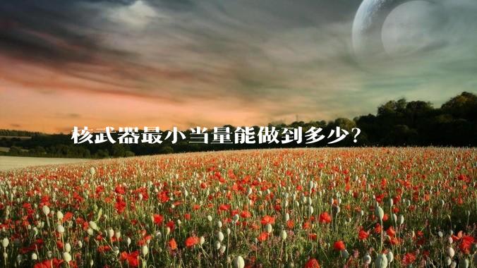 核武器最小当量能做到多少？
