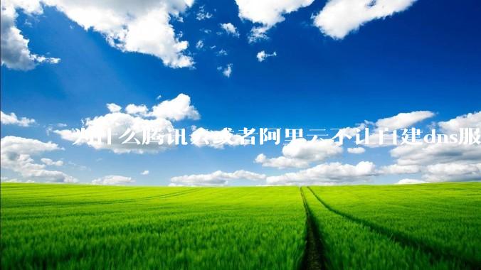 为什么腾讯云或者阿里云不让自建dns服务器?