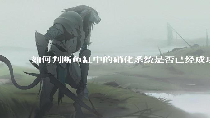 如何判断鱼缸中的硝化系统是否已经成功建立？
