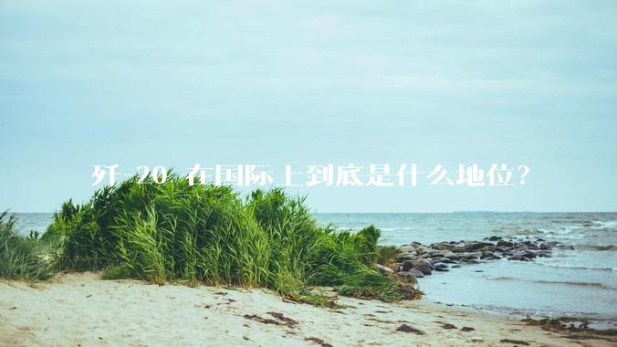 歼-20 在国际上到底是什么地位？